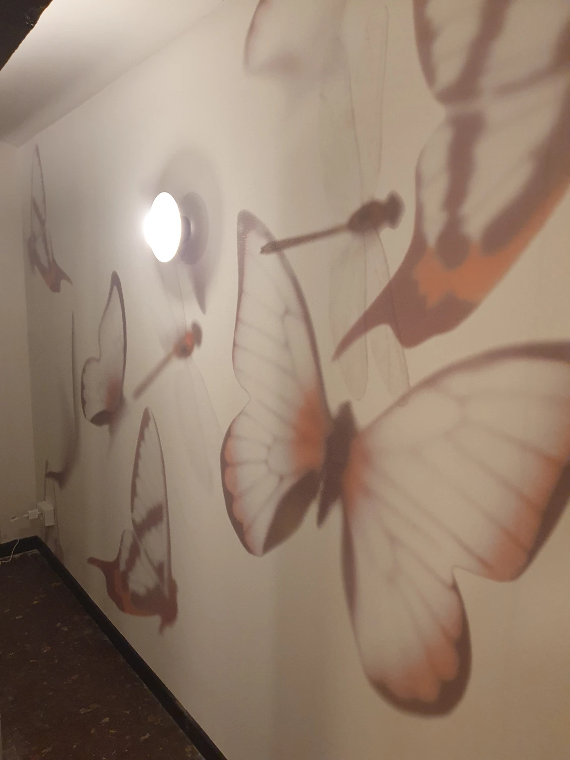 20220916_095631_1_1x