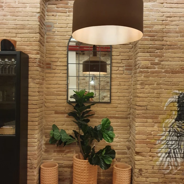 20220715_142704_1_1x