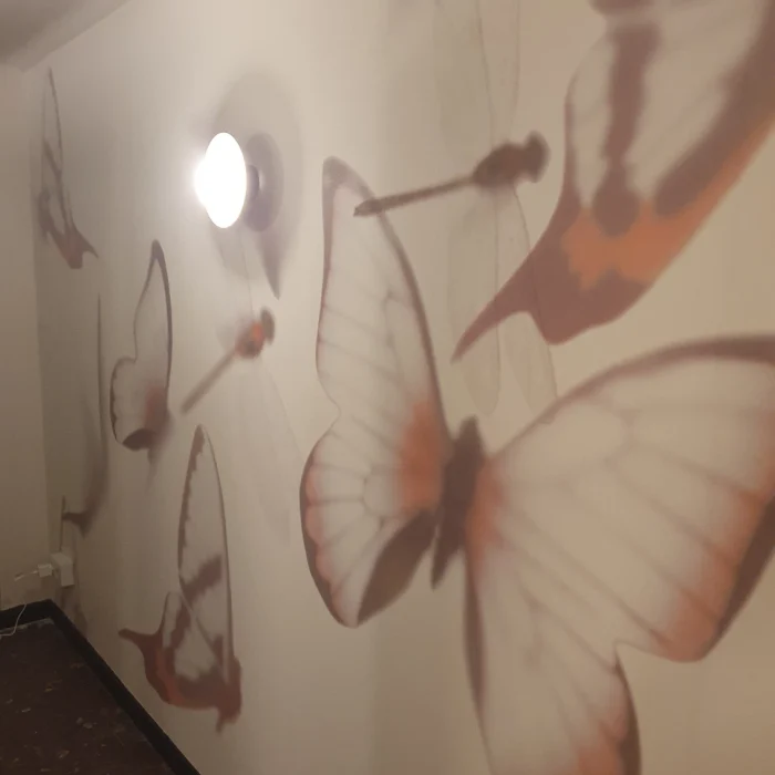 20220916_095631_1_1x